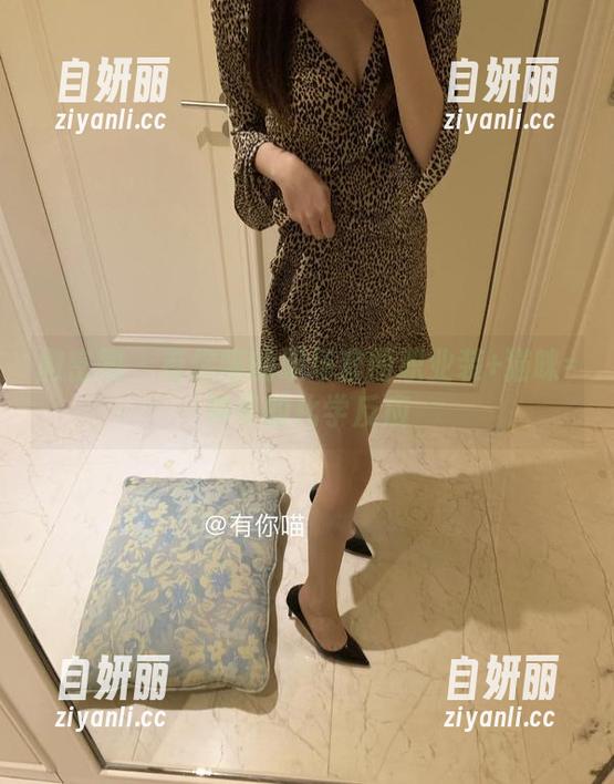微密圈 - 有你喵的职场套图职业装+猫咪=神奇的化学反应